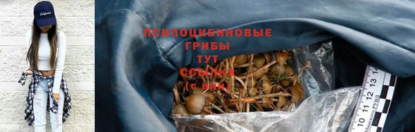 PSILOCYBIN Верея