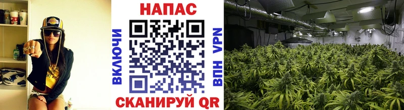 Конопля VHQ  Чишмы 